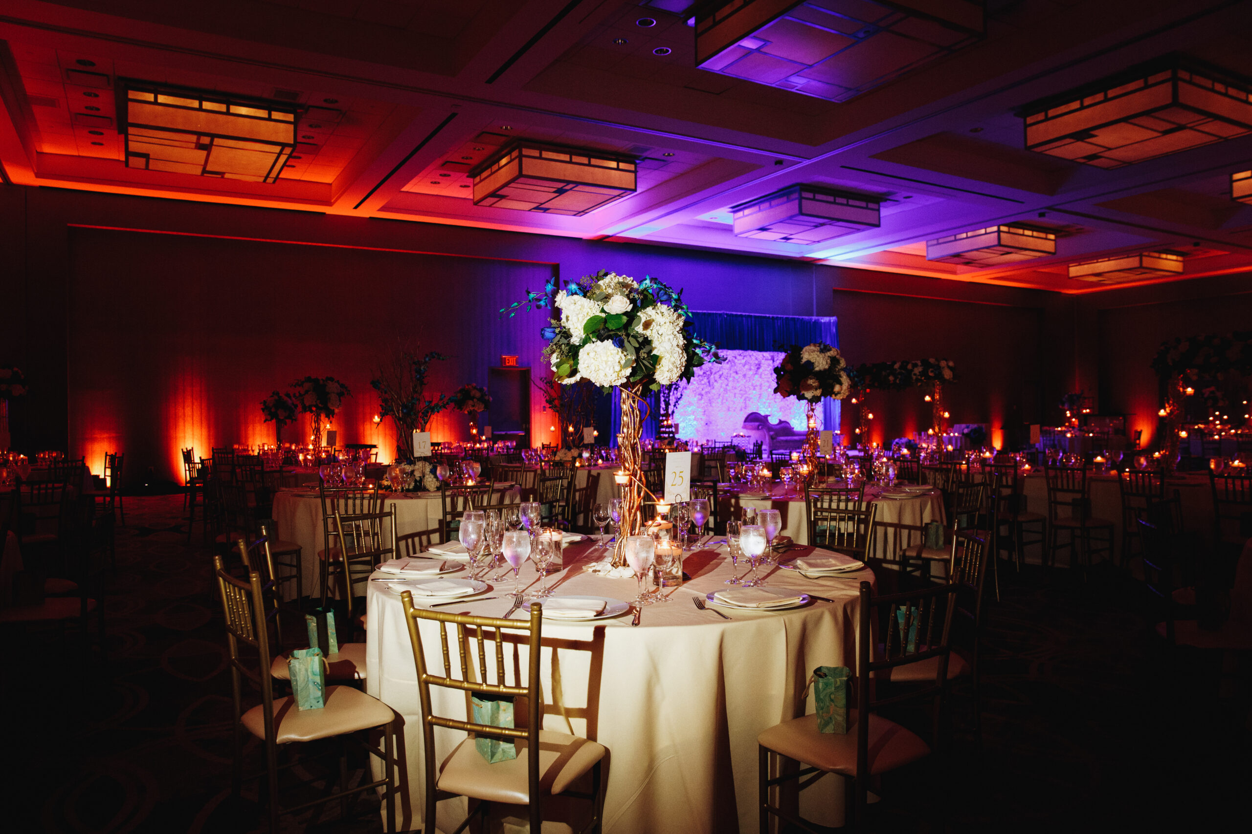 Decorated banquet hall with served round table with hydrangea ce soirée de gala